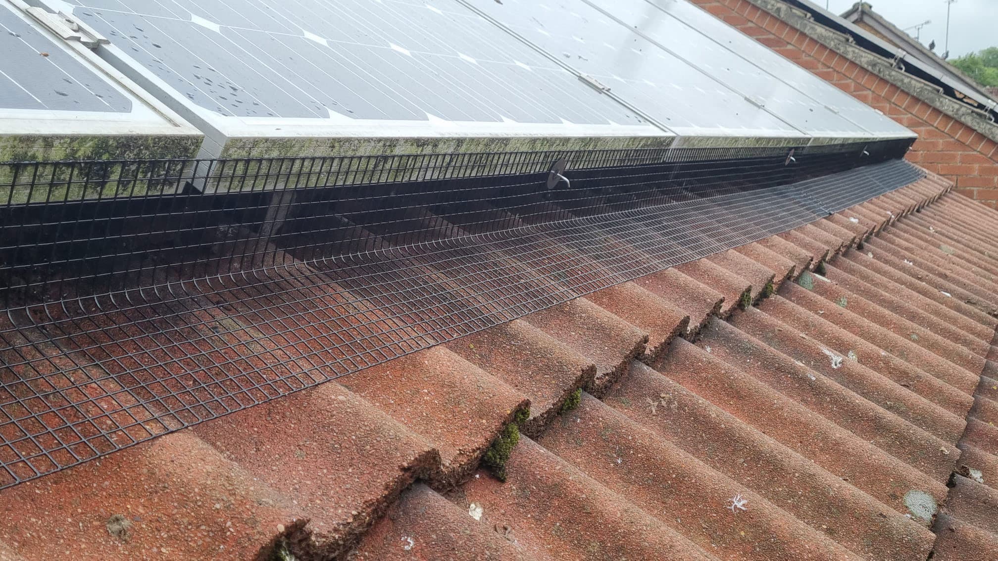 Boost Operational Efficiency Using Advanced Commercial Solar Lincoln Technology